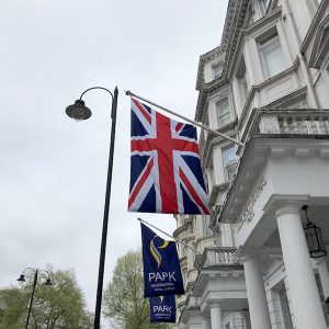 Bandiere a Londra